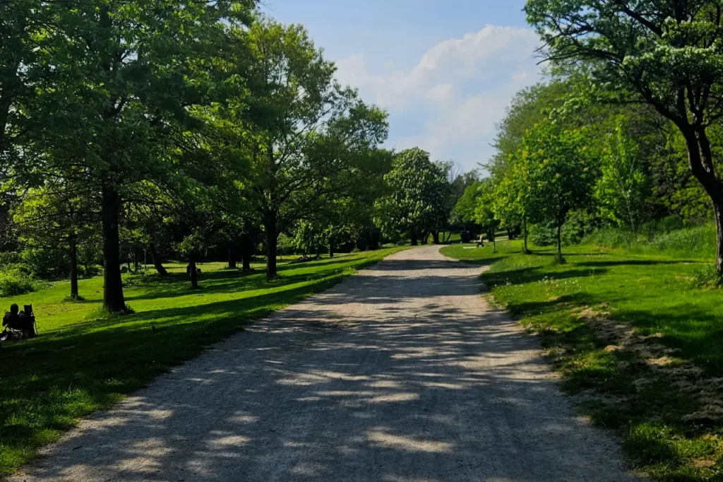 A sunny day with a couple clouds in Eotobicoke Ontario near Toronto